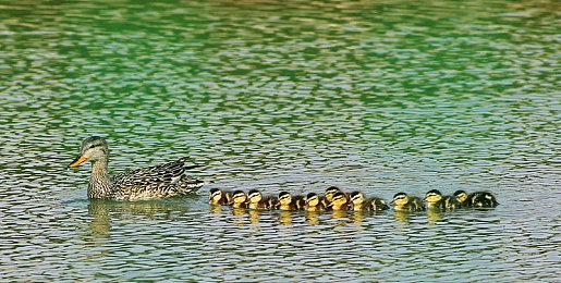 在BW现场当忍者，究竟能有多爽？